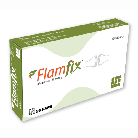 Tablet Flamfix 500mg (30pcs)